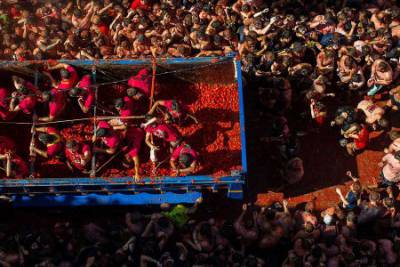 قوانین جشنواره توماتینا