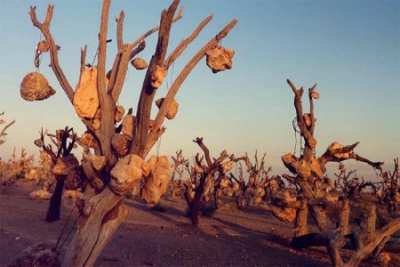 مکان‌های ترسناک,سفر به مناطق ترسناک ایران