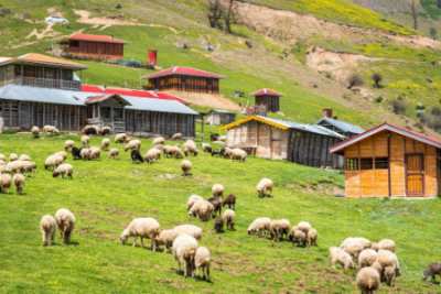 طبیعت‌گردی در اولسبلنگاه, آب و هوای اولسبلنگاه