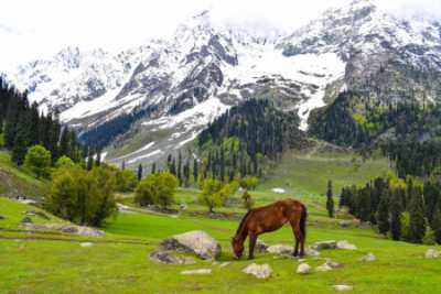 هزینه تور کشمیر, اقامت در کشمیر